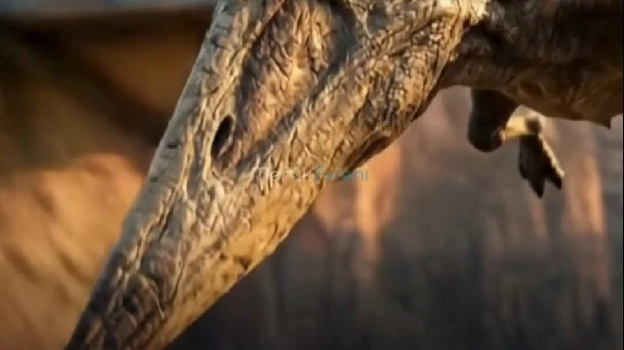 7 METRE KANAT, SIFIR DİŞ! GÖKLERİN DEVİ: PTERANODON!