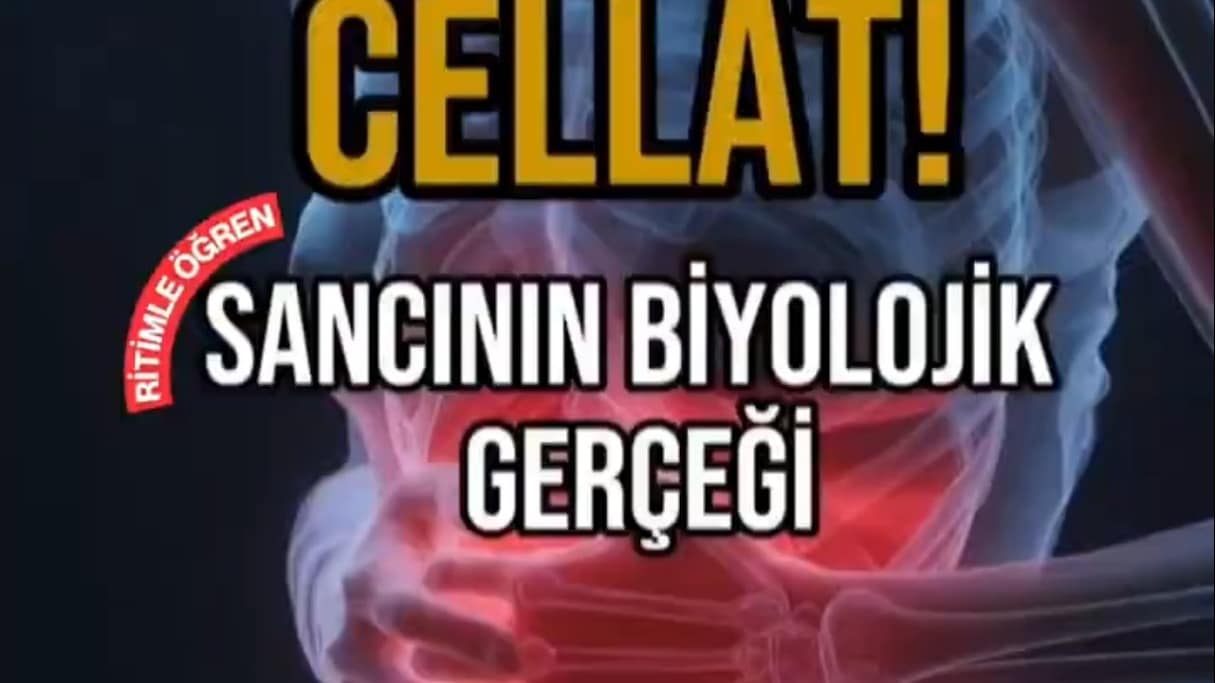 İçeride Savaş Var! Regl Döneminde Vücuda Ne Oluyor? (Müzikal Anlatım)