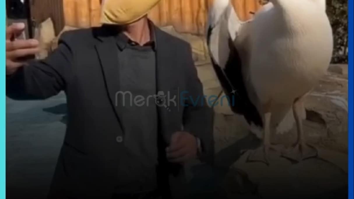 DÜNYAYI YUTMAYA ÇALIŞAN KUŞ! Sakın Yaklaşmayın, Sizi de Ölçebilir!