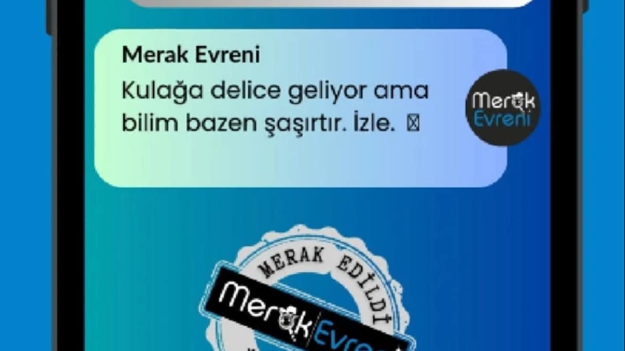 İnceleme: ALTERNATİF SOLUNUM (Enteral Ventilasyon)