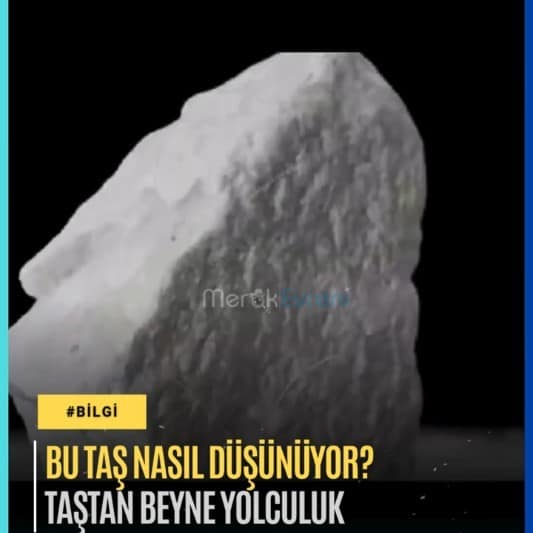 Bu Taş Nasıl Düşünüyor? İşlemcilerin Sırrı (Rap Anlatım)