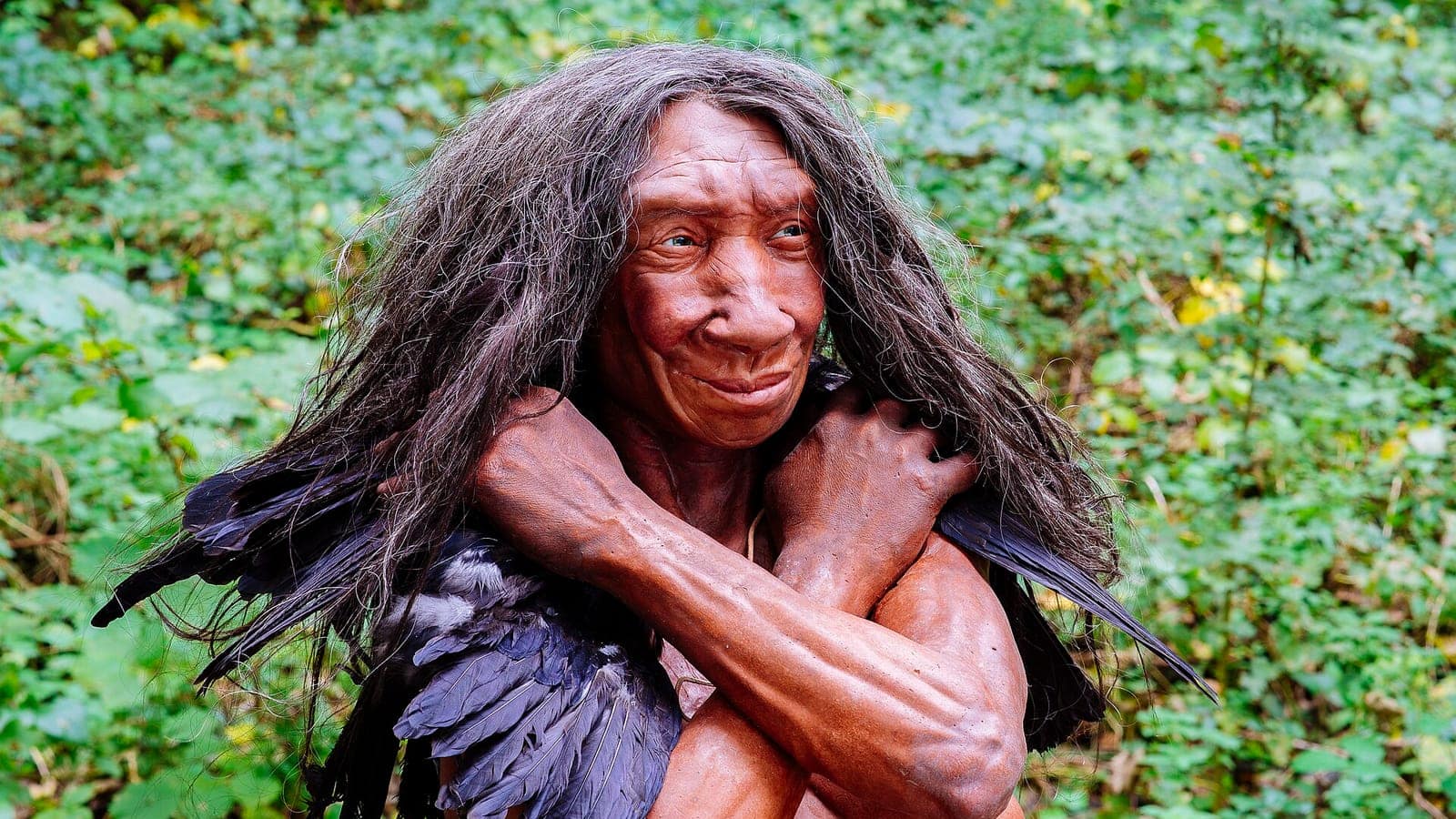 Neandertal Müzesi'nde bir Neandertal insanının canlı rekonstrüksiyonu