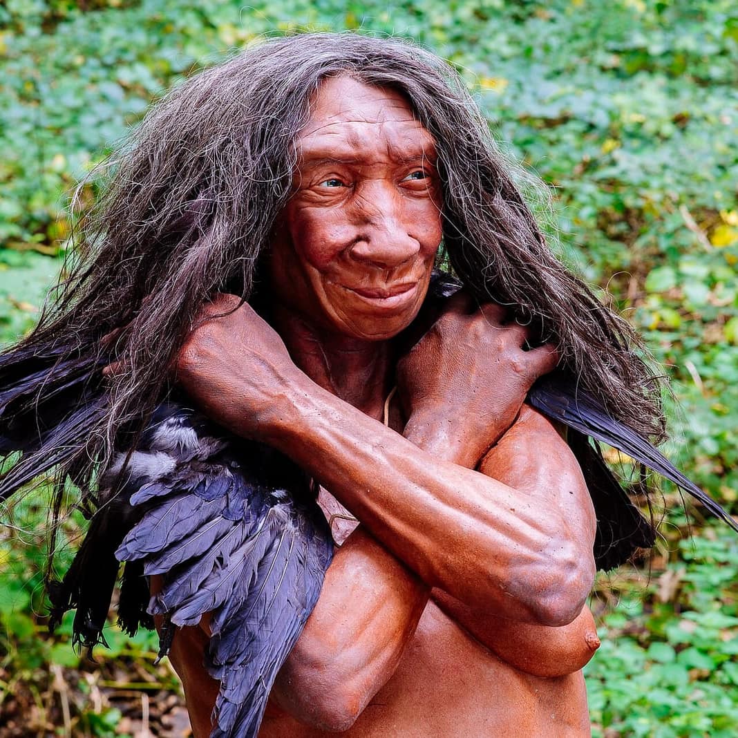 Neandertal Müzesi'nde bir Neandertal insanının canlı rekonstrüksiyonu