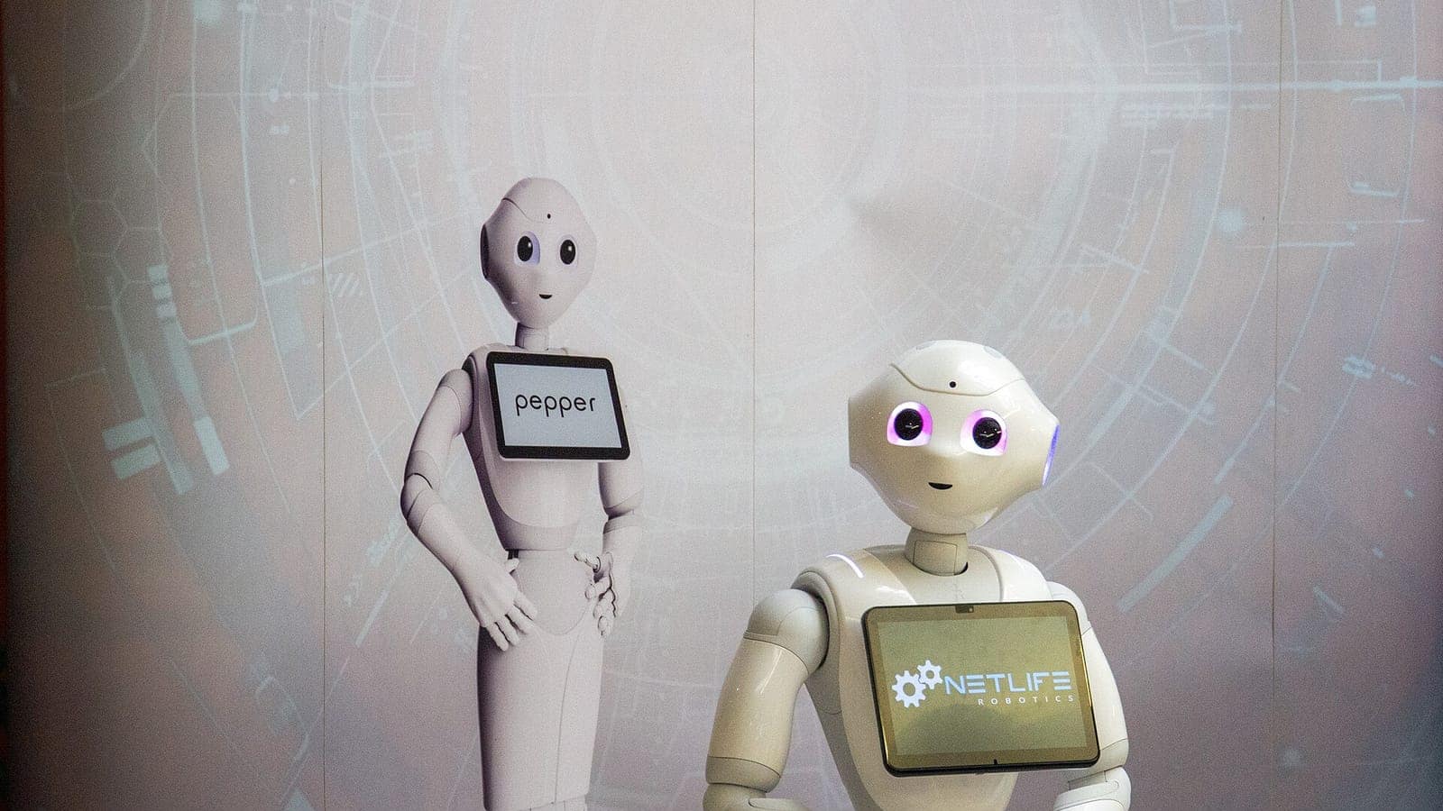 Pepper insansı robotu bir etkinlikte