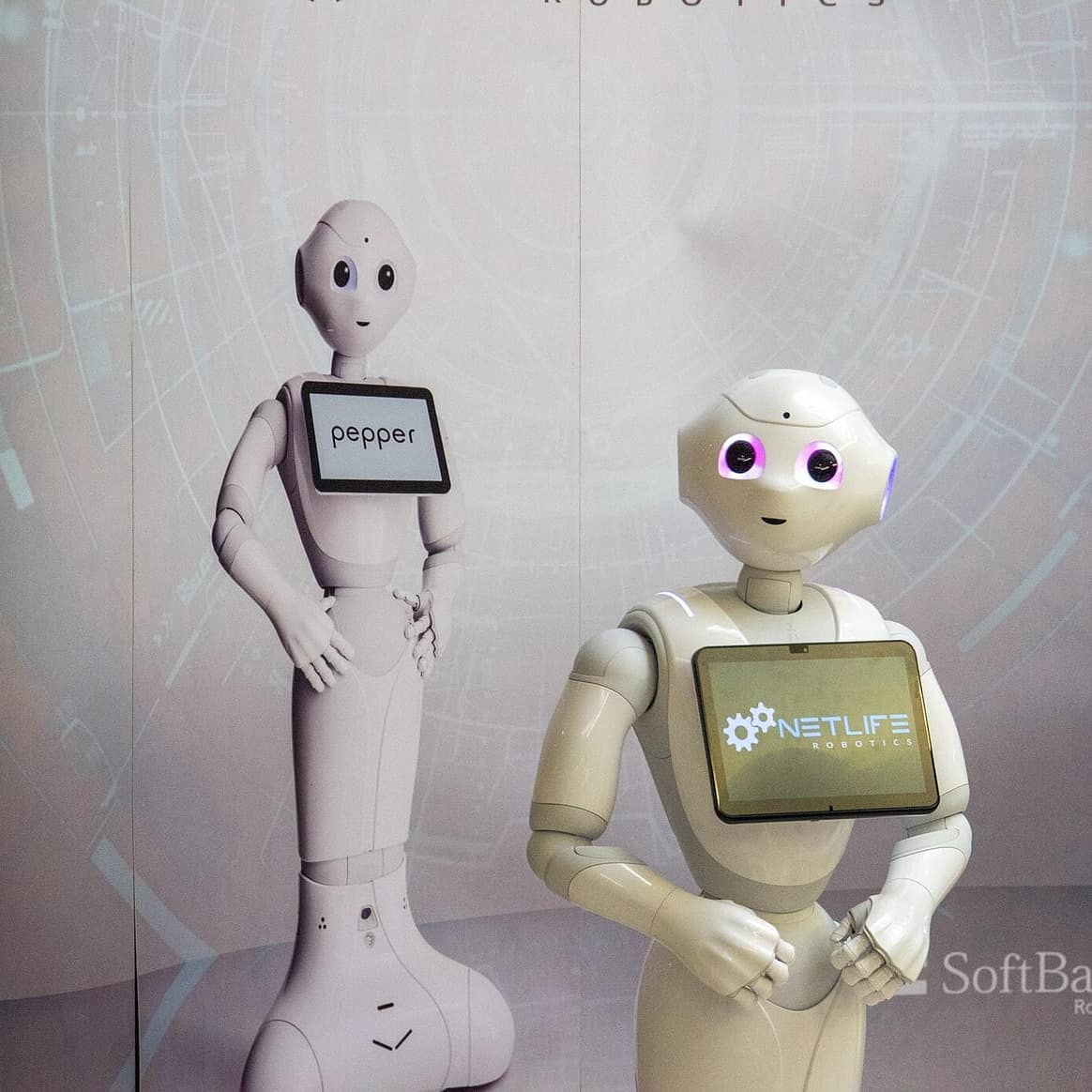 Pepper insansı robotu bir etkinlikte