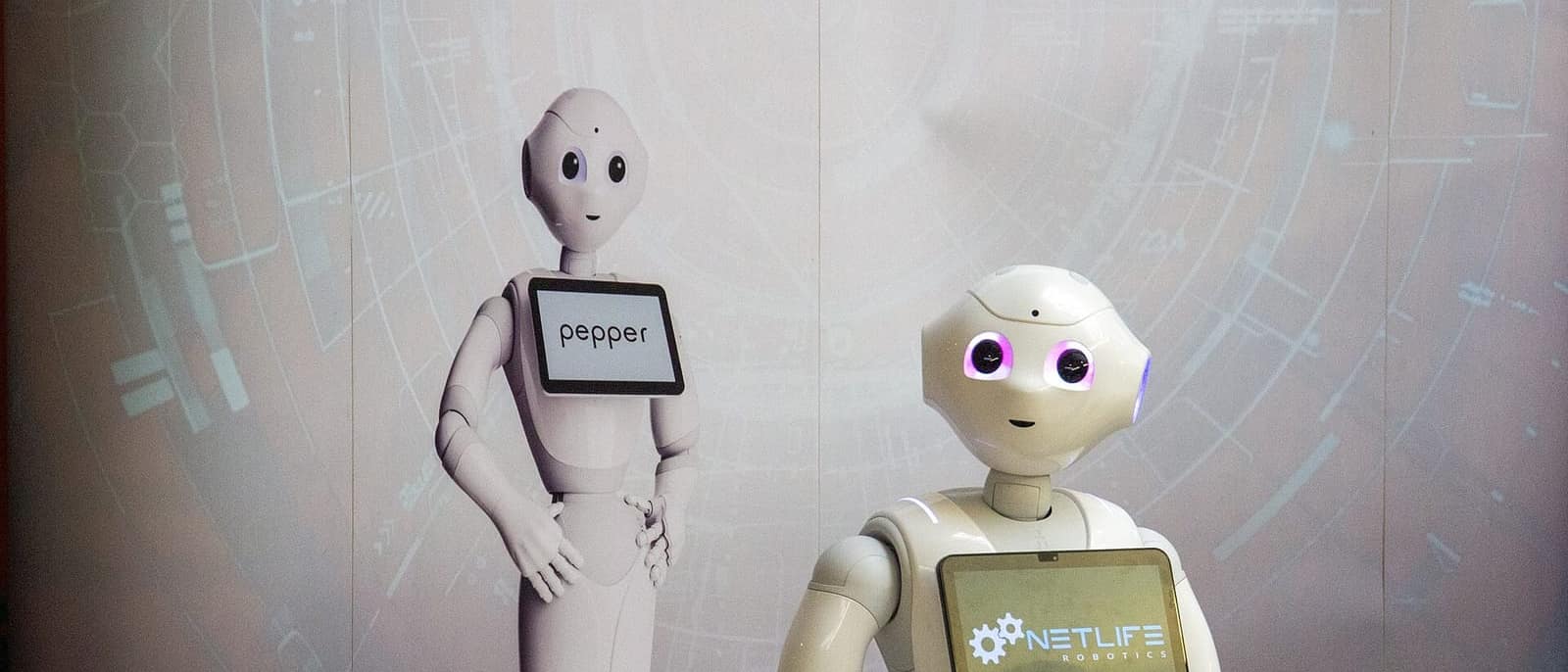 Pepper insansı robotu bir etkinlikte