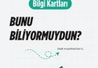 Bilgi Kartları – Günün Bilgisi