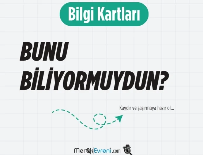 Bilgi Kartları – Günün Bilgisi