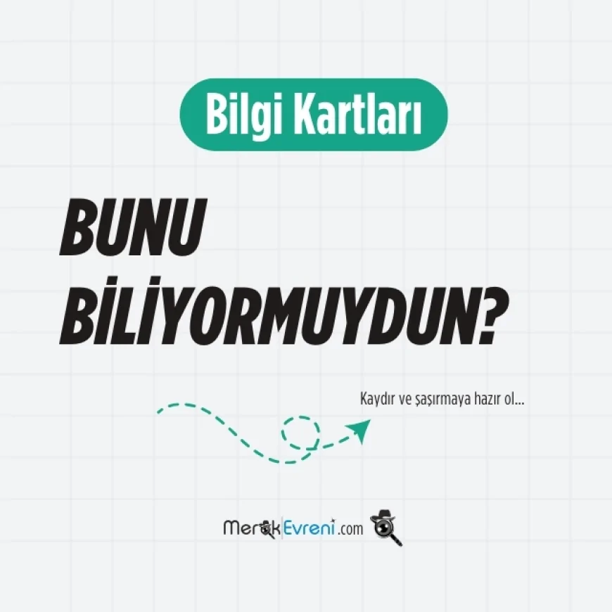 Bilgi Kartları – Günün Bilgisi
